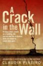 Image of a book cover for the novel 'A Crack in the Wall'
