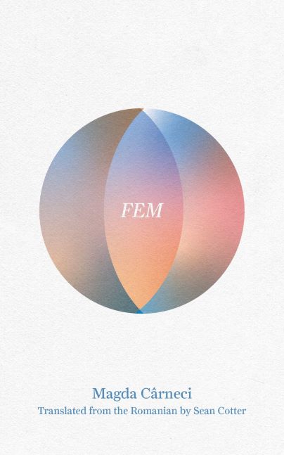 Book cover for FEM by Magda Carneci, cover image shows a segmented sphere in deep pastel colours containing the book's title